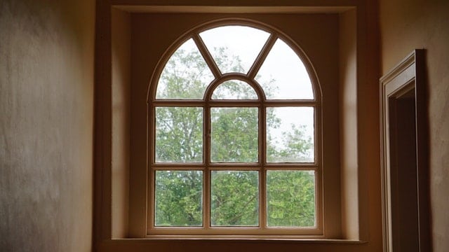 Kärcher WV50 Window Vac